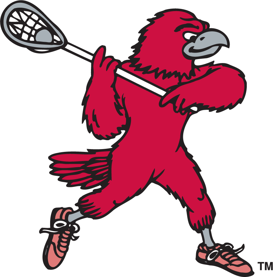 St. Joseph's Hawks 1995-2002 Secondary Logo v7 diy iron on heat transfer